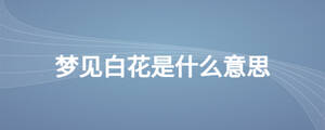 /nameask/26493.html