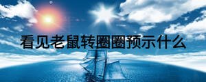 看见老鼠转圈圈预示什么