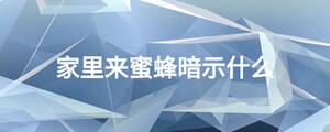 家里来蜜蜂暗示什么