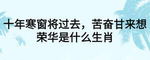 十年寒窗将过去，苦奋甘来想荣华是什么生肖