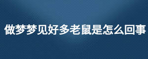 做梦梦见好多老鼠是怎么回事