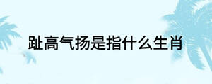 /nameask/26533.html