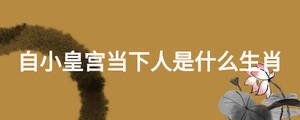 /nameask/26531.html