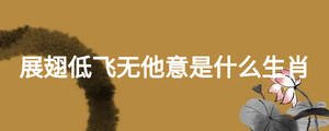 展翅低飞无他意是什么生肖