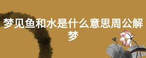 /nameask/26583.html
