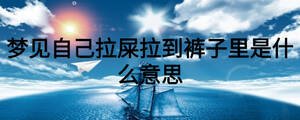 梦见自己拉屎拉到裤子里是什么意思