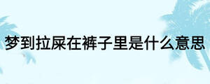 梦到拉屎在裤子里是什么意思