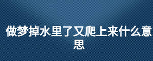/nameask/26634.html