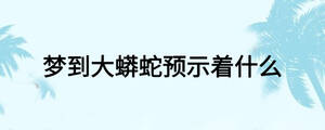 梦到大蟒蛇预示着什么