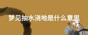 梦见抽水浇地是什么意思
