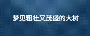 /nameask/26585.html