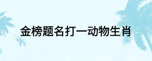 /nameask/26646.html