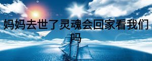 /nameask/26576.html