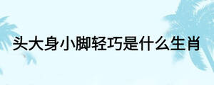 头大身小脚轻巧是什么生肖