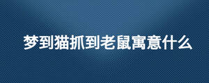 /nameask/26660.html