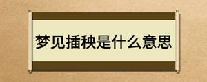梦见插秧是什么意思