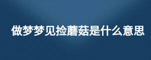 /nameask/26653.html