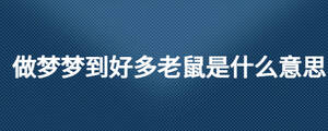 /nameask/26652.html