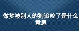 做梦被别人的狗追咬了是什么意思