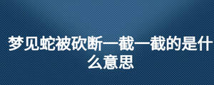 /nameask/26734.html