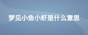 /nameask/26736.html