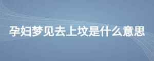 /nameask/26777.html