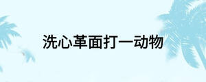 /nameask/26804.html