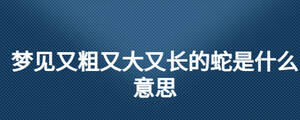 梦见又粗又大又长的蛇是什么意思