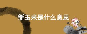 /nameask/26748.html