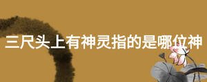 /nameask/26817.html