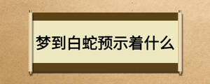 /nameask/26735.html