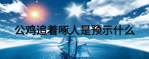 公鸡追着啄人是预示什么