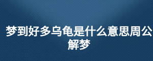 /nameask/26864.html