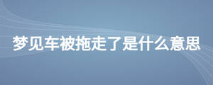 /nameask/26858.html