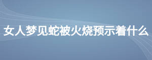 /nameask/26831.html