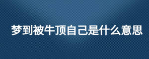 /nameask/26872.html
