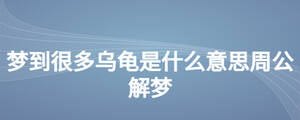 /nameask/26865.html