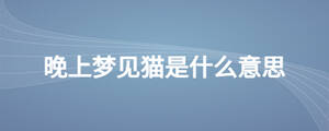 /nameask/26860.html
