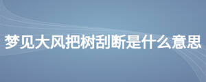 /nameask/26962.html