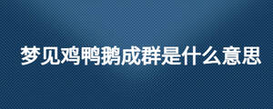 /nameask/26904.html