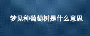 /nameask/26935.html