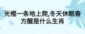 /nameask/26907.html