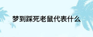 梦到踩死老鼠代表什么