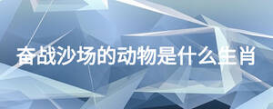 /nameask/26899.html