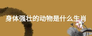身体强壮的动物是什么生肖