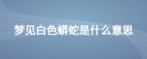 /nameask/26989.html