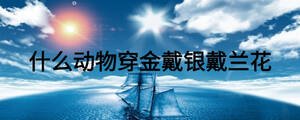 /nameask/27028.html