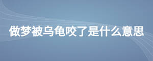 /nameask/27055.html