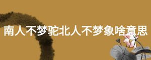 南人不梦驼北人不梦象啥意思