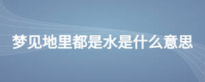 梦见地里都是水是什么意思